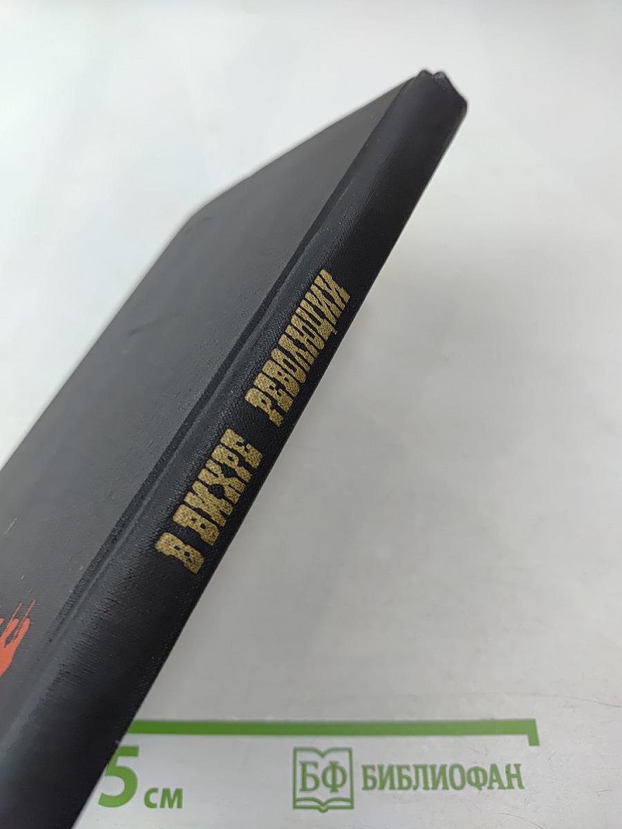 В вихре революции