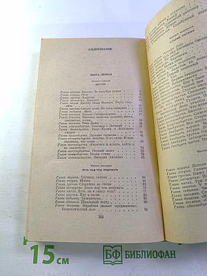 Два капитана. Книга первая