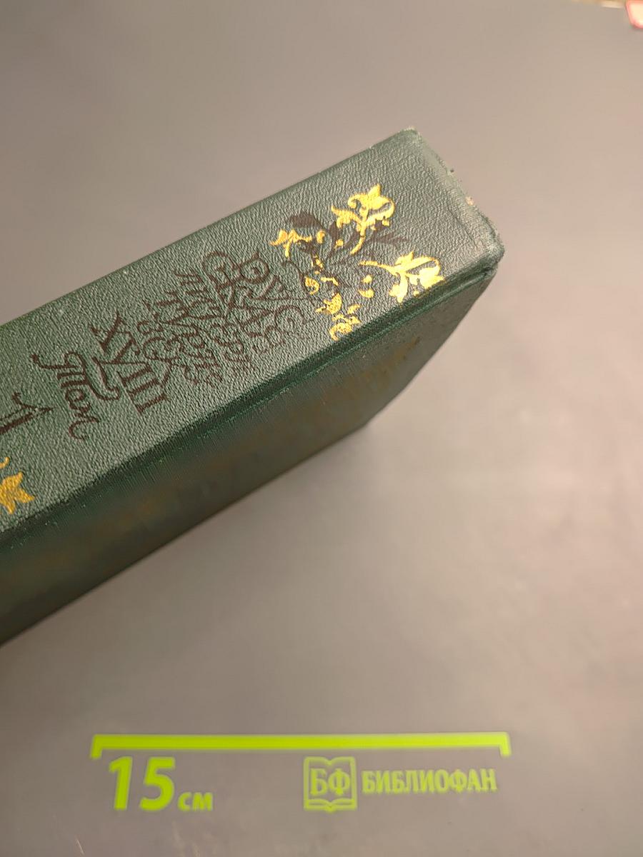 Русская литература XVIII век. Лирика