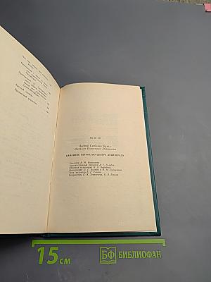 Каменное убранство центра Ленинграда