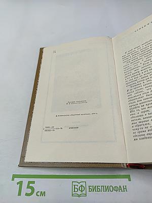 Роман от первого лица