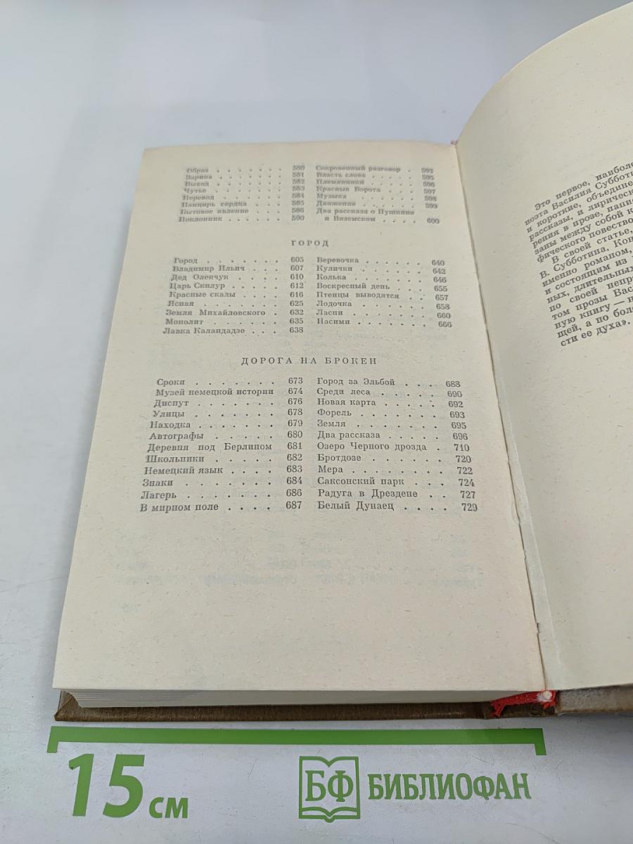 Роман от первого лица