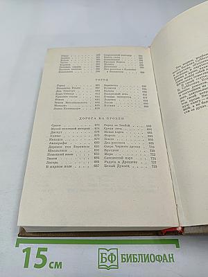 Роман от первого лица