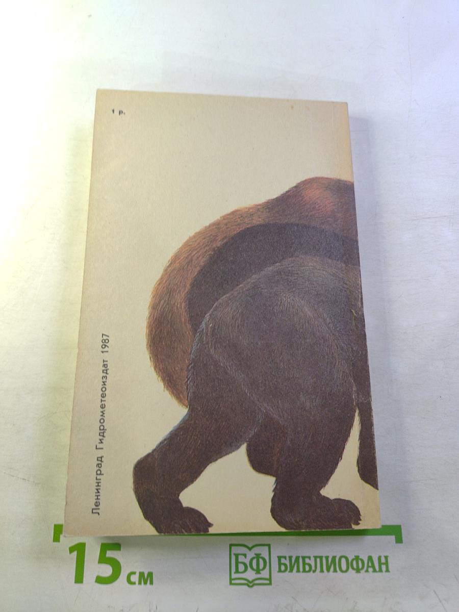 Медведи и я