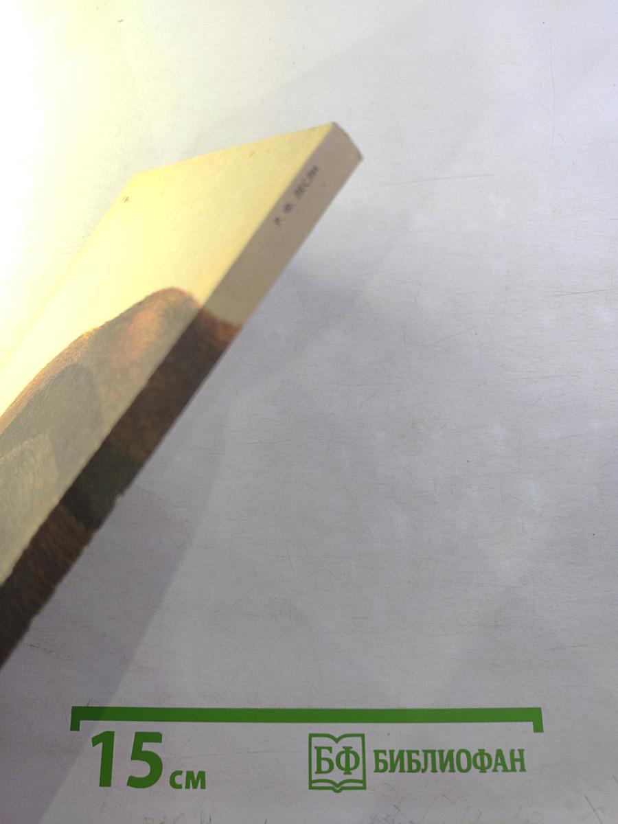 Медведи и я