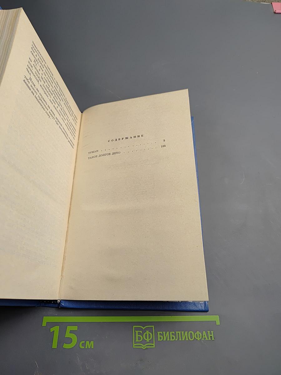 Такое долгое лето. Романы