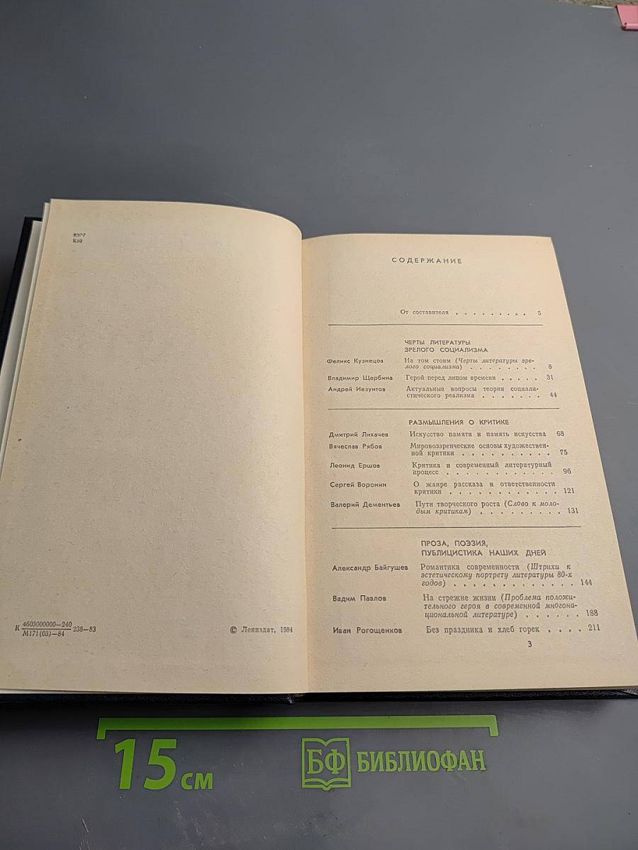 Критика и время