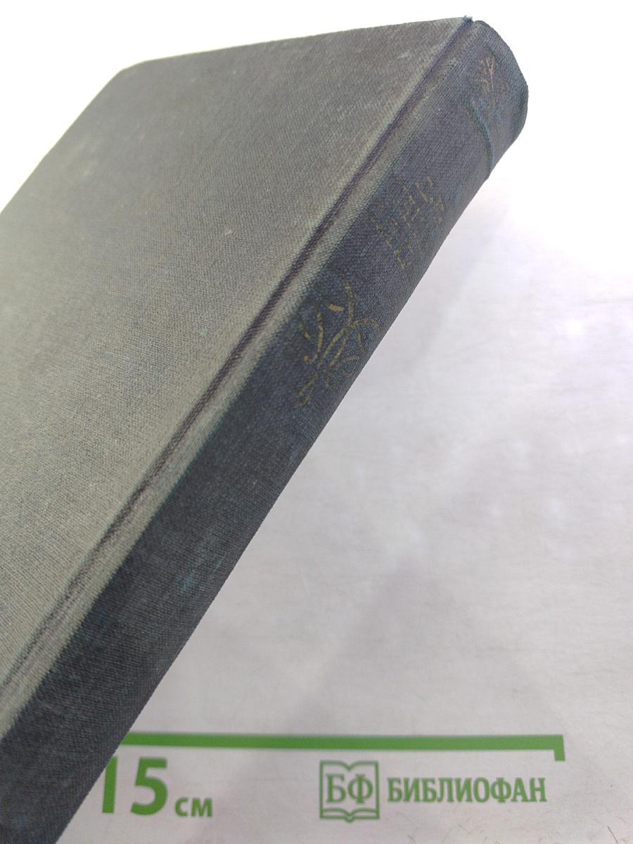 Охонины брови. Весенние грозы