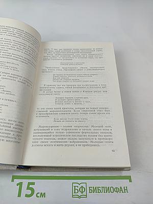 Писатель и эпоха