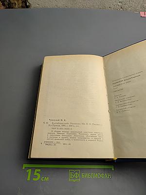 Балтийское небо. Рассказы