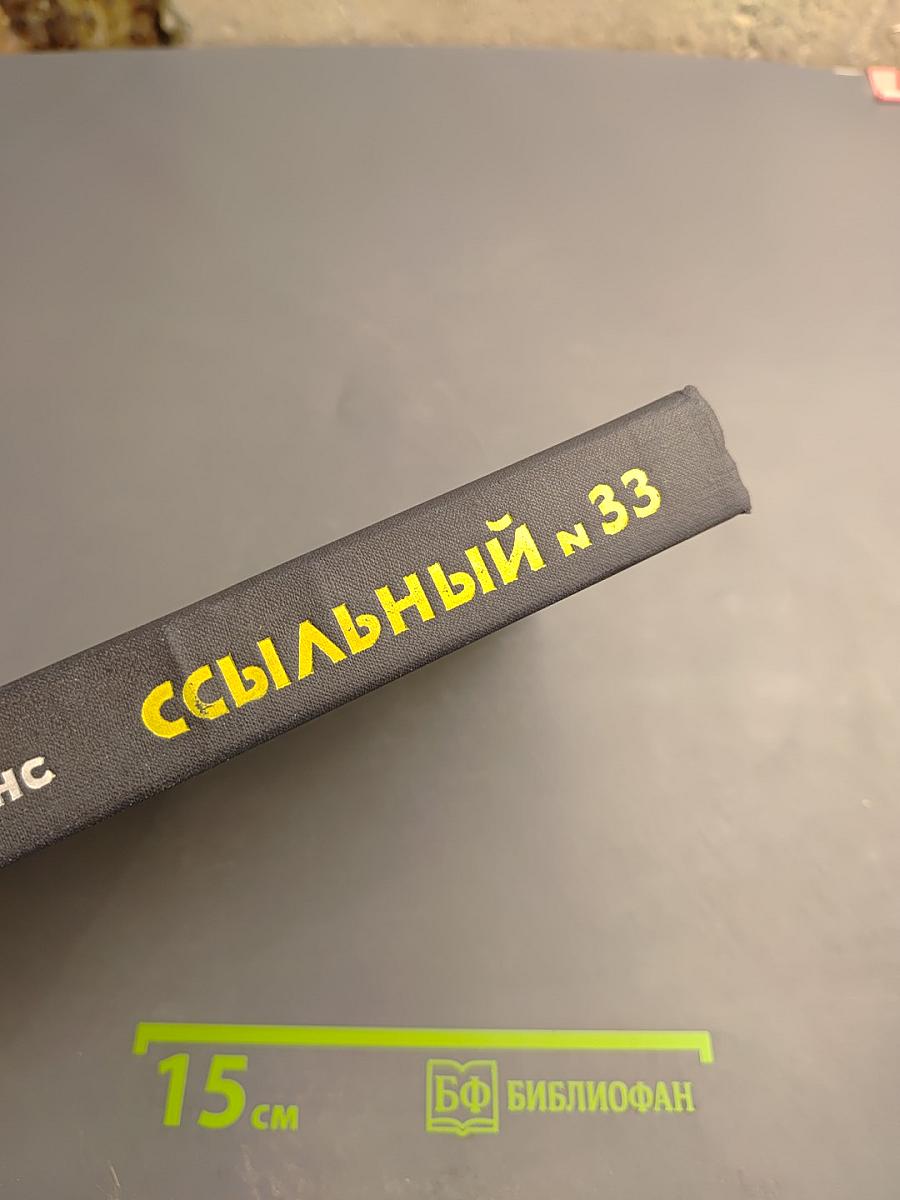 Ссыльный № 33