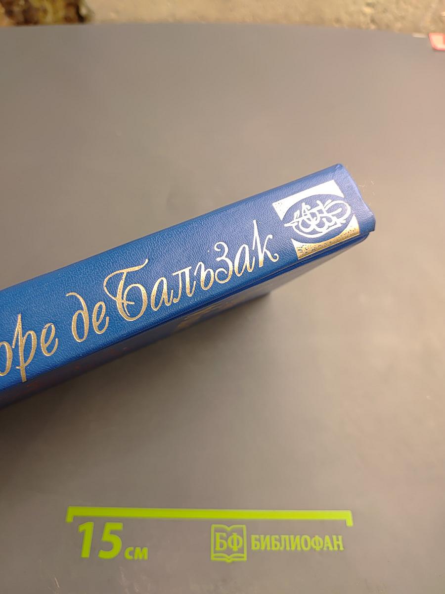 Человеческая Комедия. Этюды о нравах. Том 1