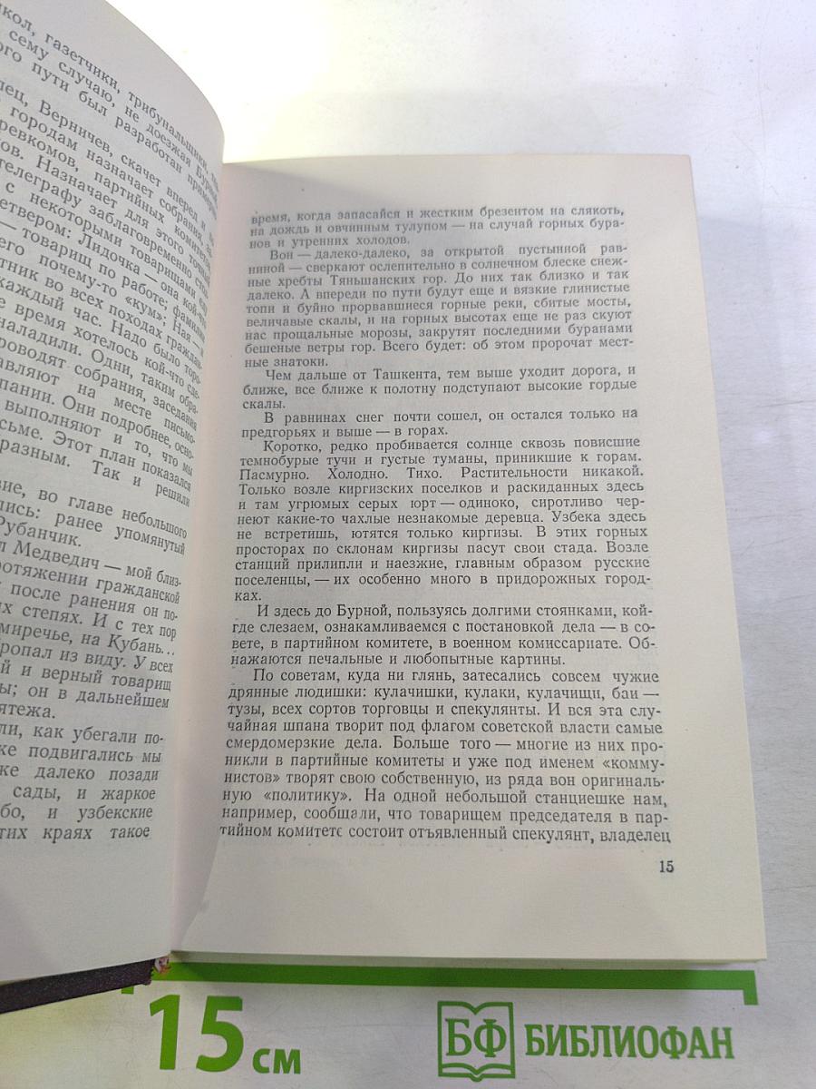 Мятеж, Том второй