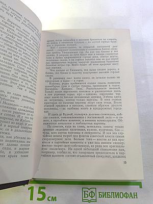 Мятеж, Том второй