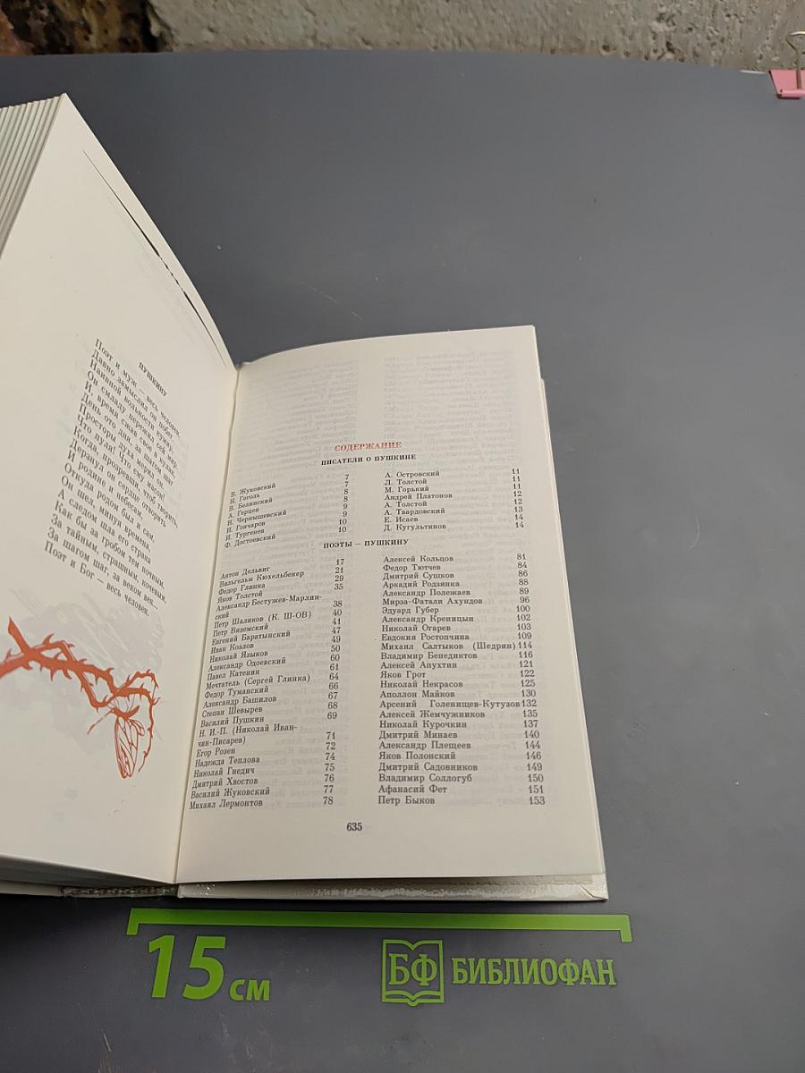 России первая любовь