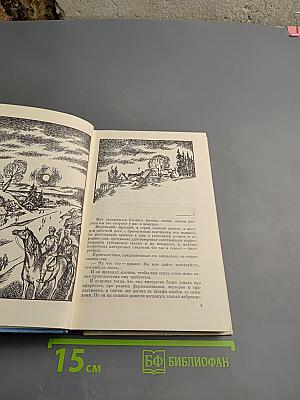 Жестокость