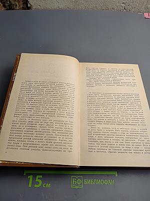 Собрание сочинений. Том четвертый