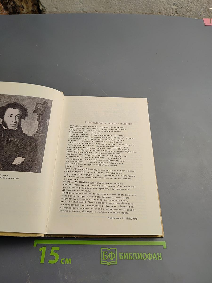 Дополнение к портретам