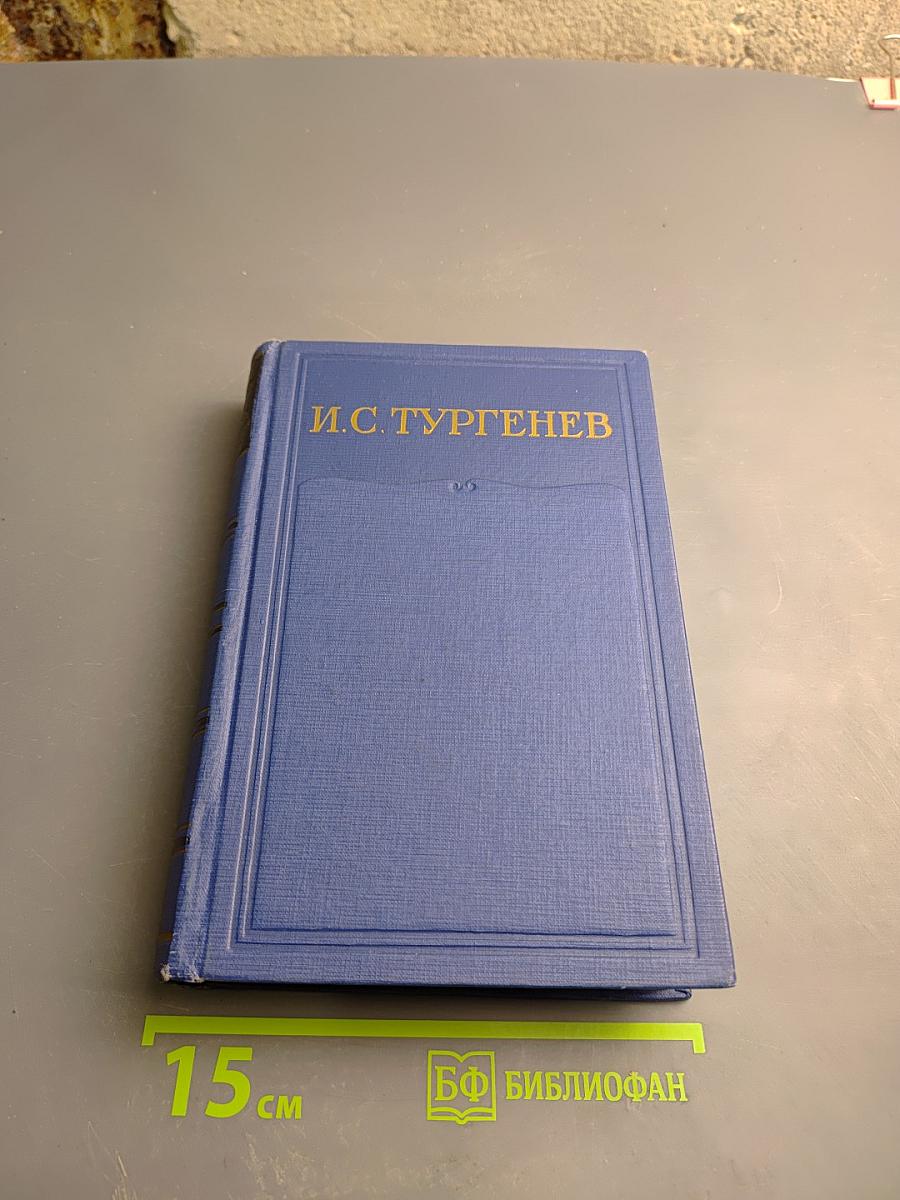 Полное собрание сочинений и писем. Письма. Том шестой. 1865-1867