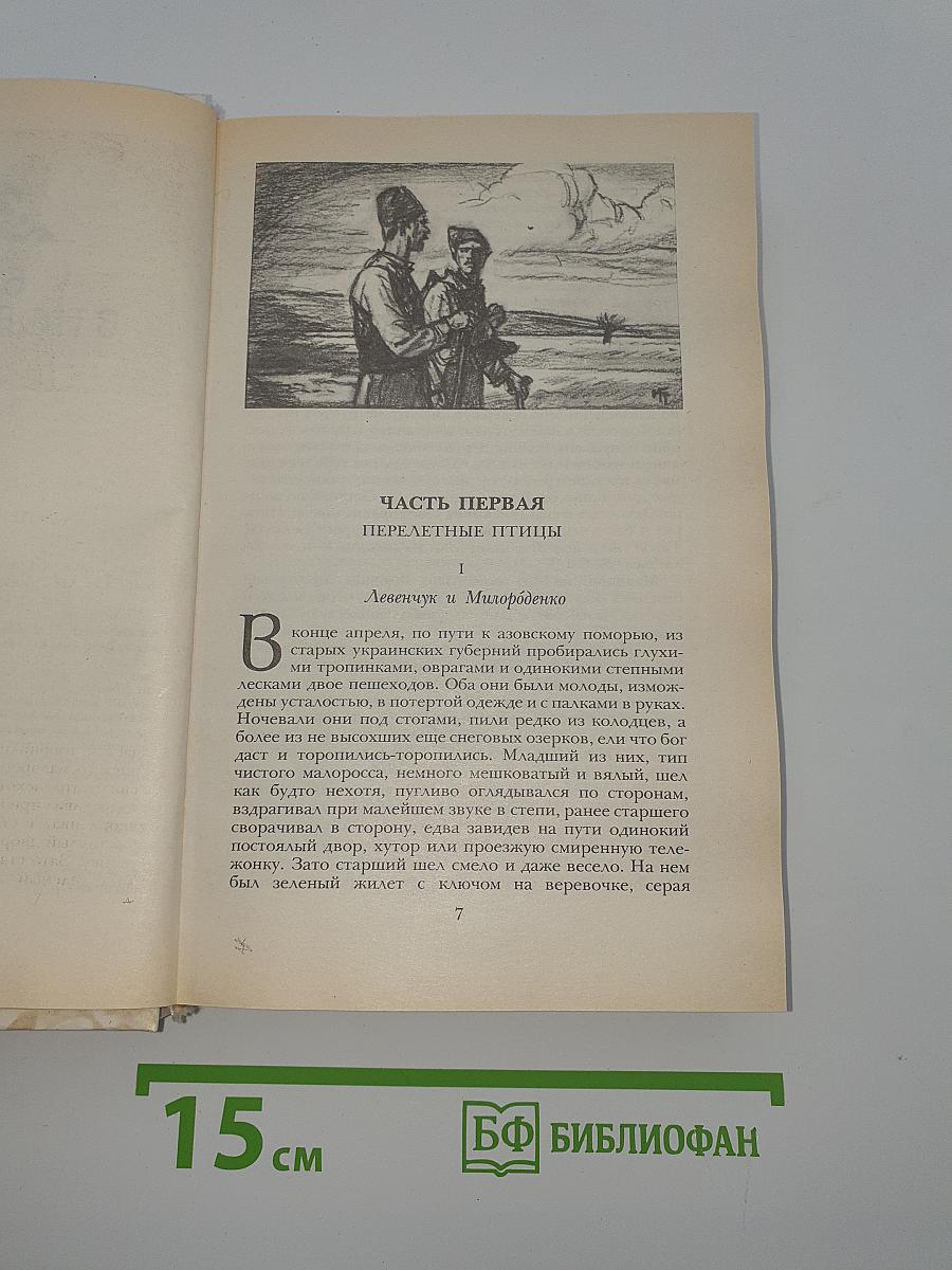 Беглые в Новороссии. Воля. Княжна Тараканова