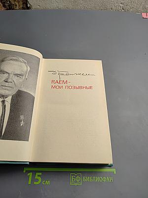 RAEM - мои позывные