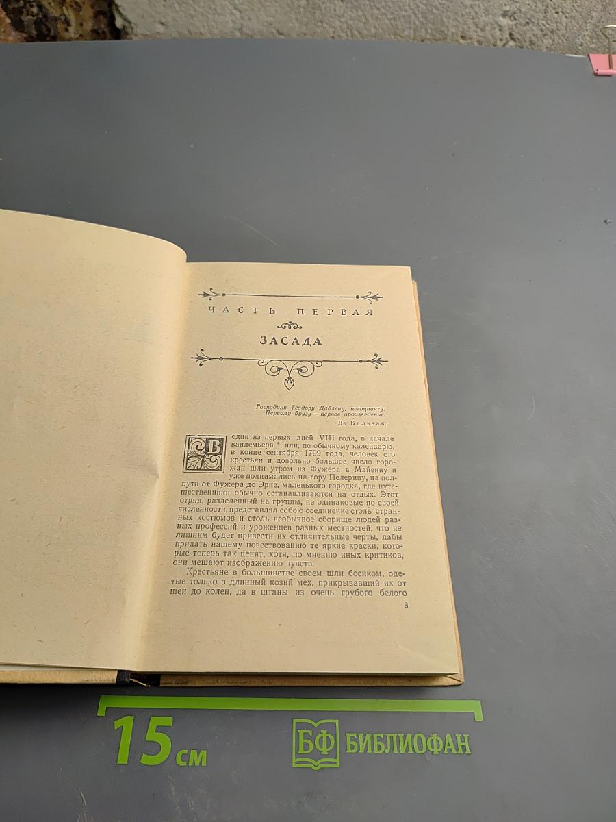 Шуаны или Бретань в 1799 году