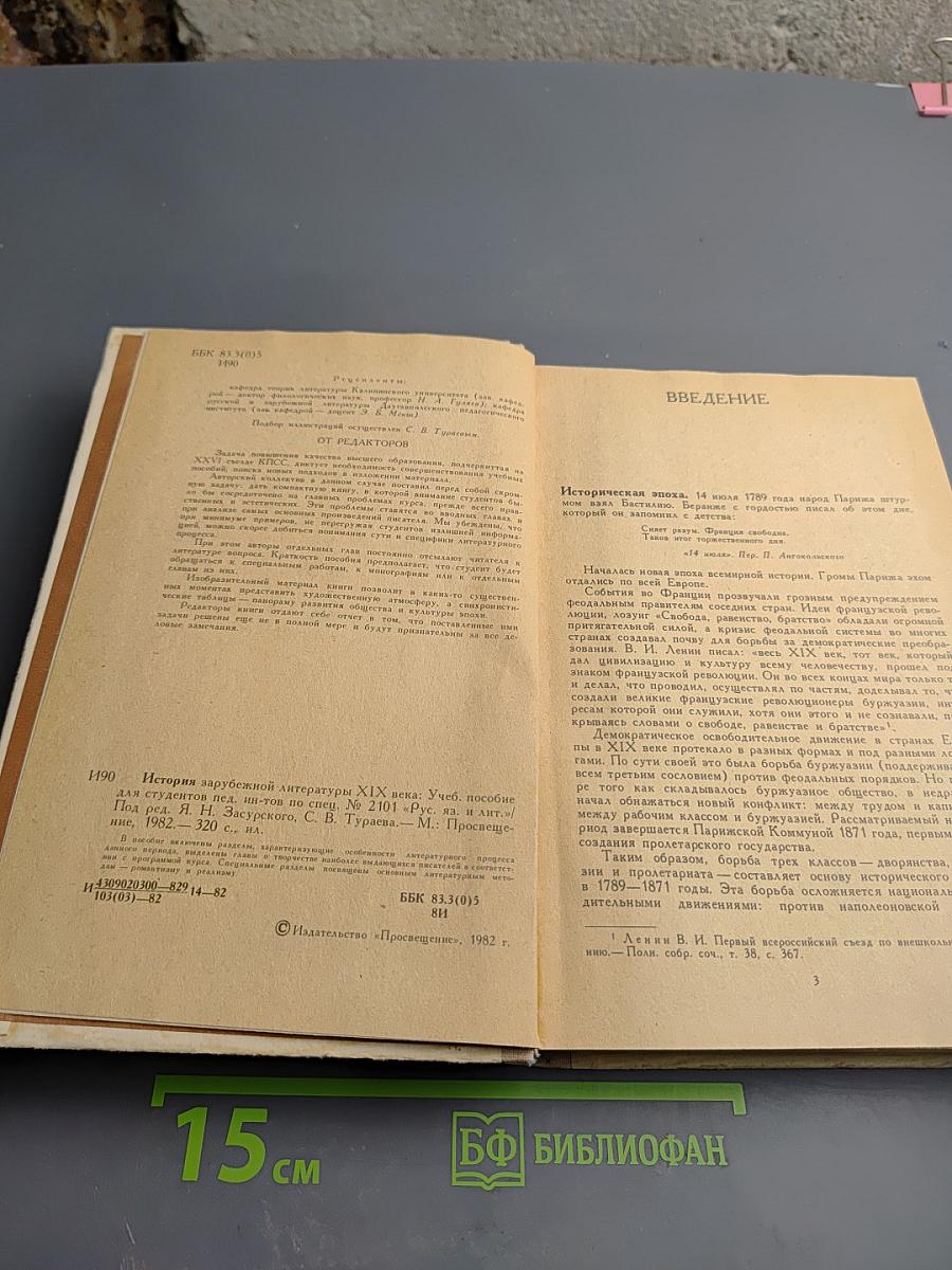 История зарубежной литературы XIX века