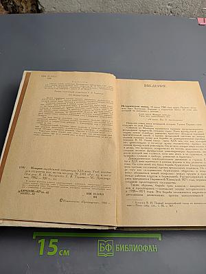 История зарубежной литературы XIX века