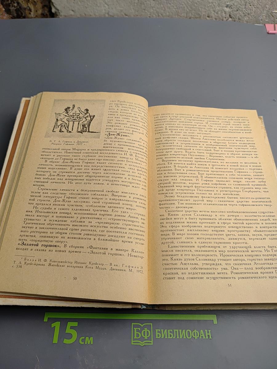 История зарубежной литературы XIX века