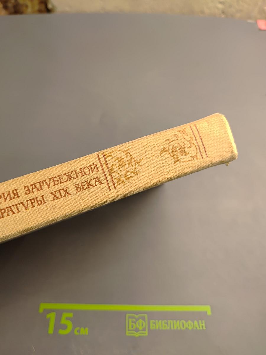 История зарубежной литературы XIX века