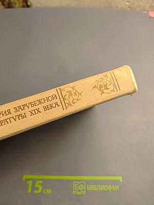 История зарубежной литературы XIX века