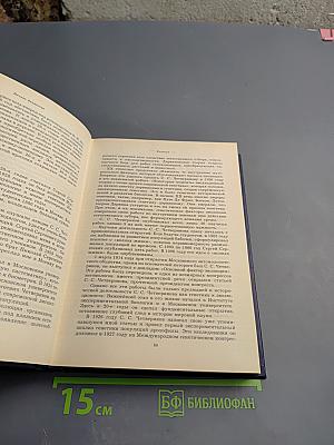 Вечное движение