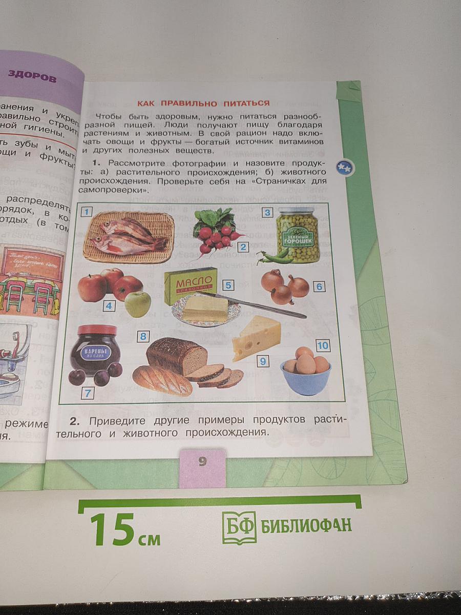 Окружающий мир