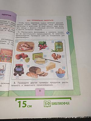 Окружающий мир