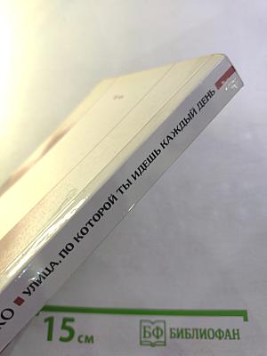 Улица, по которой ты идешь каждый день