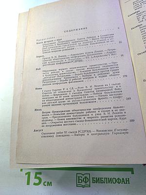 Большевики Петрограда в 1917 году