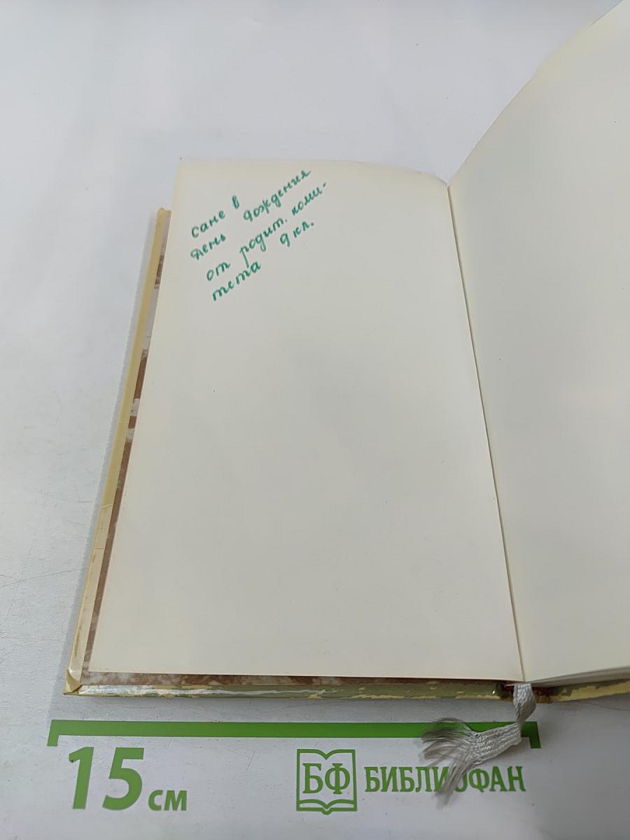 Ленин. У руля Страны Советов. Том 2