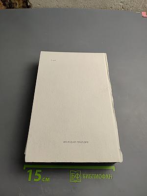 Гимн любви. Том 2