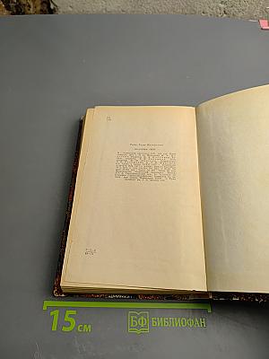 Красный снег