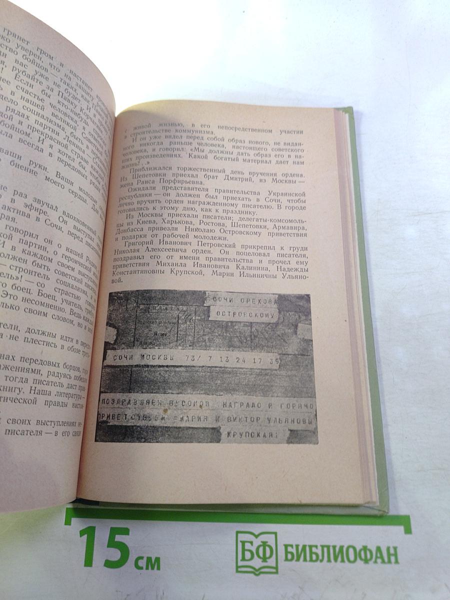 Жизнь Николая Островского