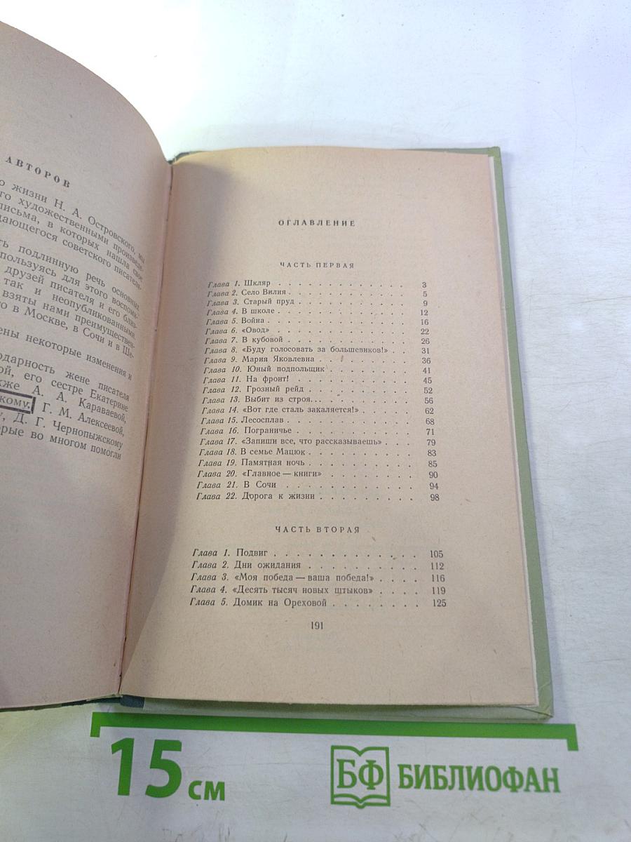 Жизнь Николая Островского