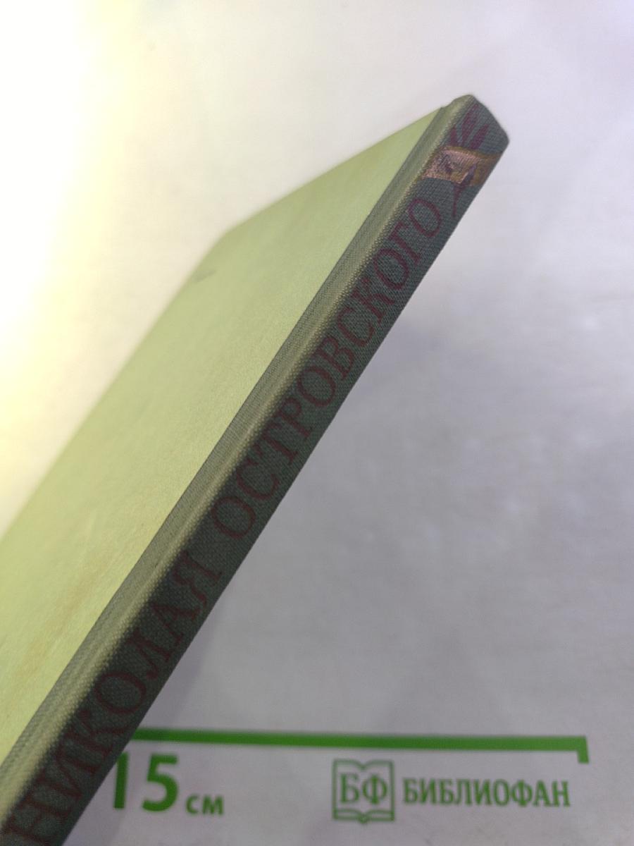 Жизнь Николая Островского