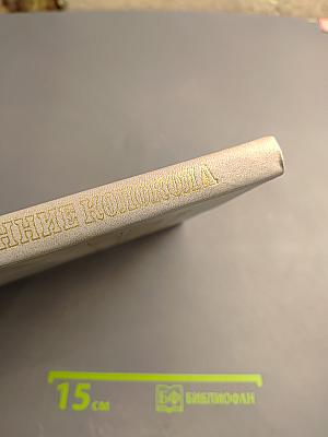 Утренние колокола