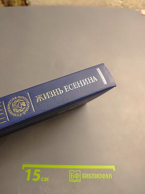 Жизнь Есенина