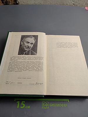 Вечное мгновение. Этюды и размышления о литературе