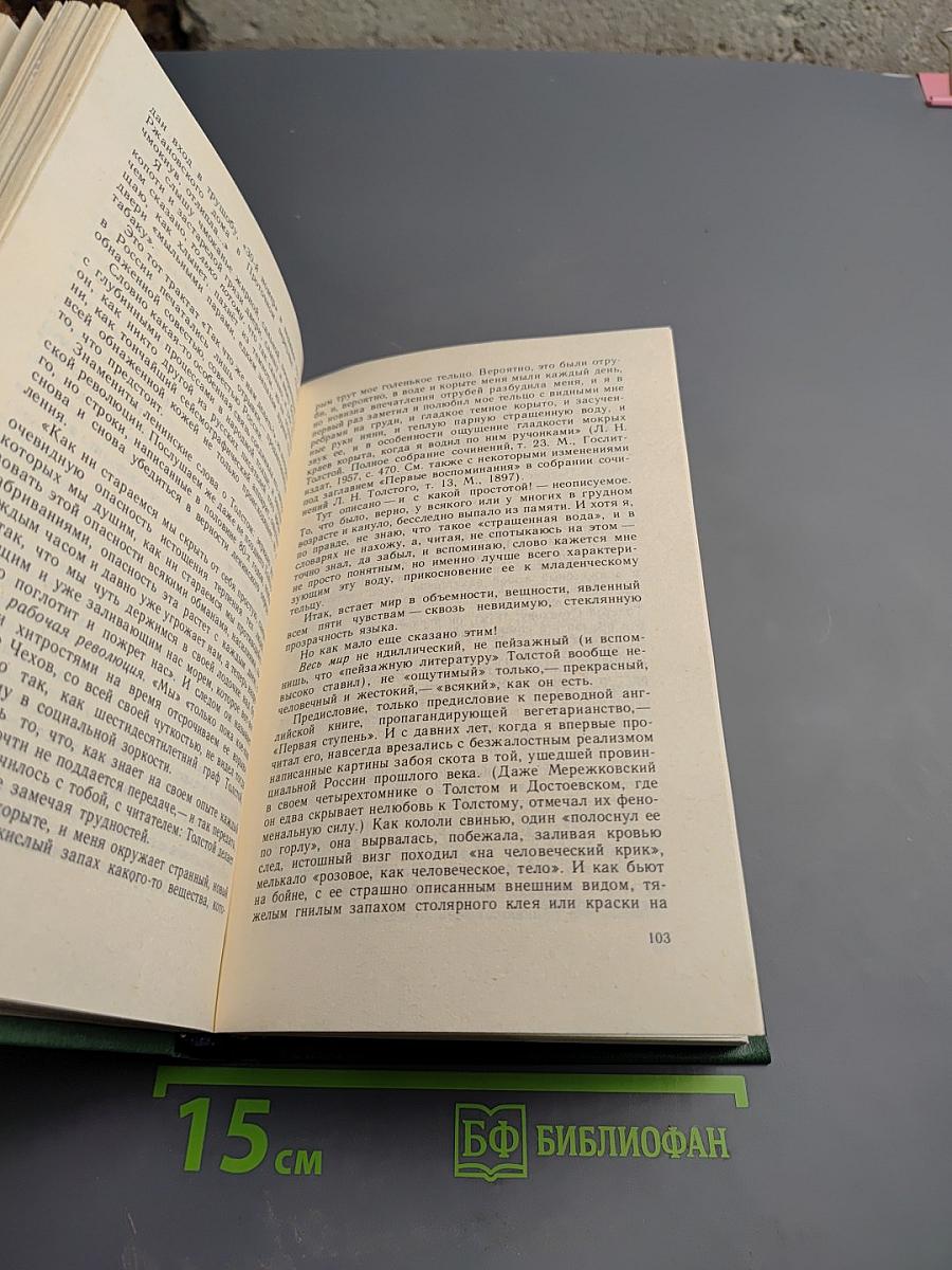 Вечное мгновение. Этюды и размышления о литературе