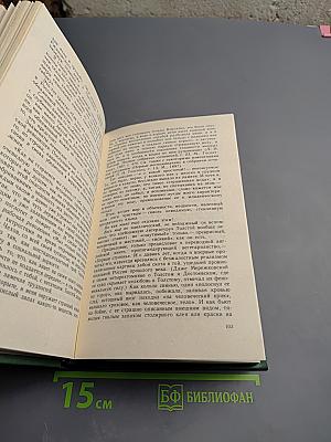 Вечное мгновение. Этюды и размышления о литературе