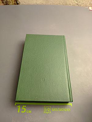 Вечное мгновение. Этюды и размышления о литературе