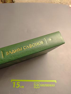 Вечное мгновение. Этюды и размышления о литературе
