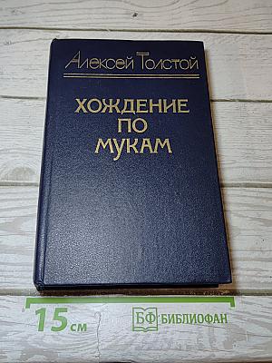 Хождение по мукам